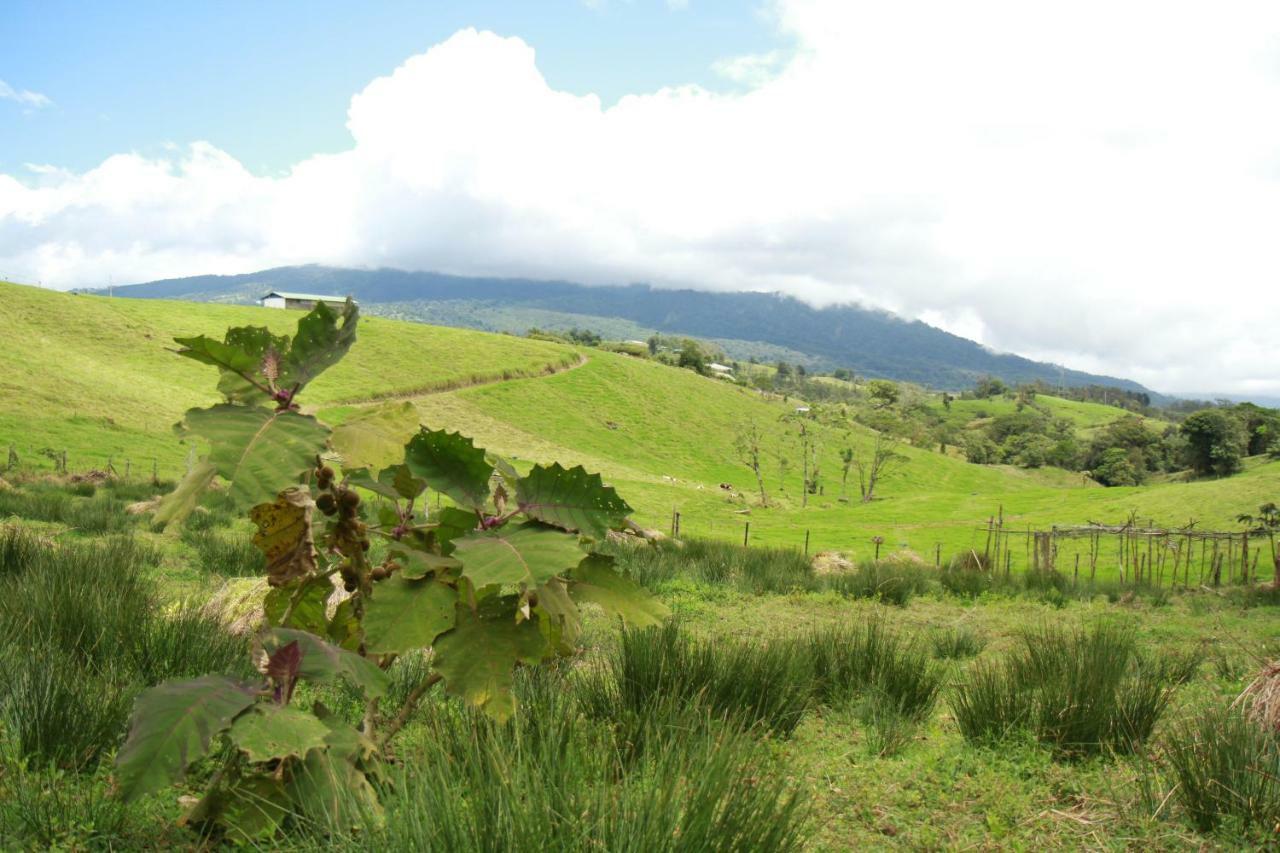 Casa Volcano Panoramic View Vara Blanca  Exterior foto